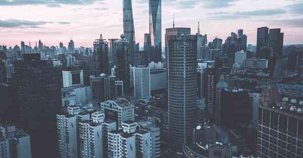 老王永久免费佛系加速器安卓